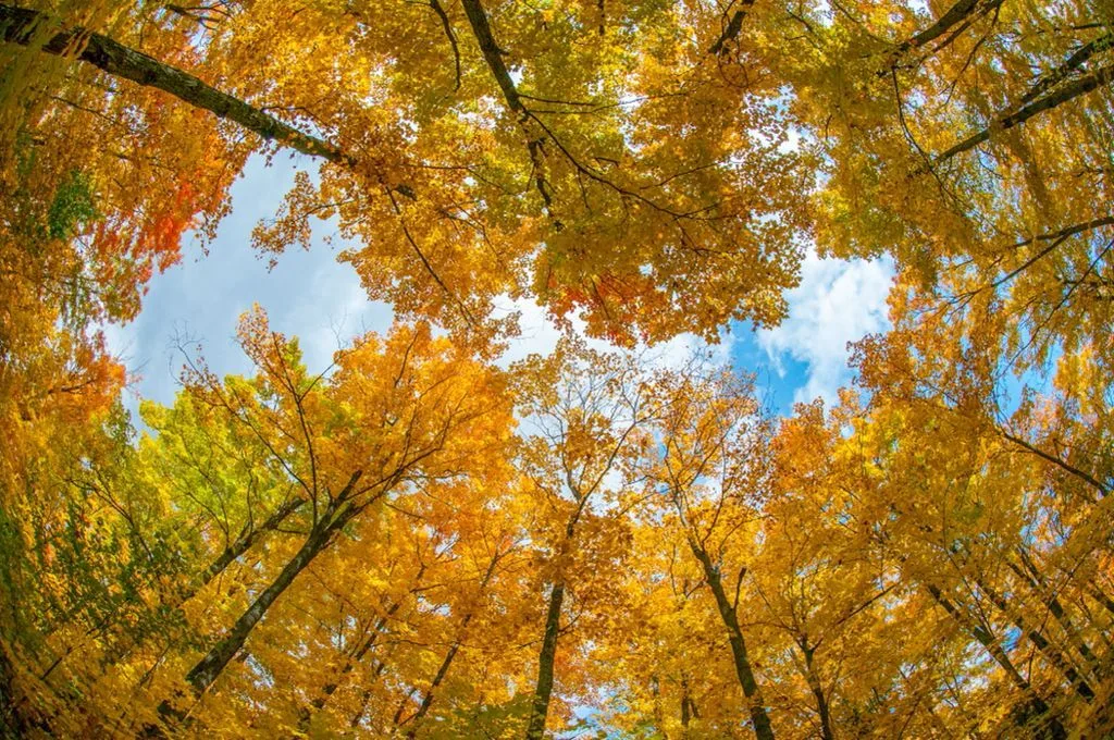 When do the 4 seasons begin in Haiti?
