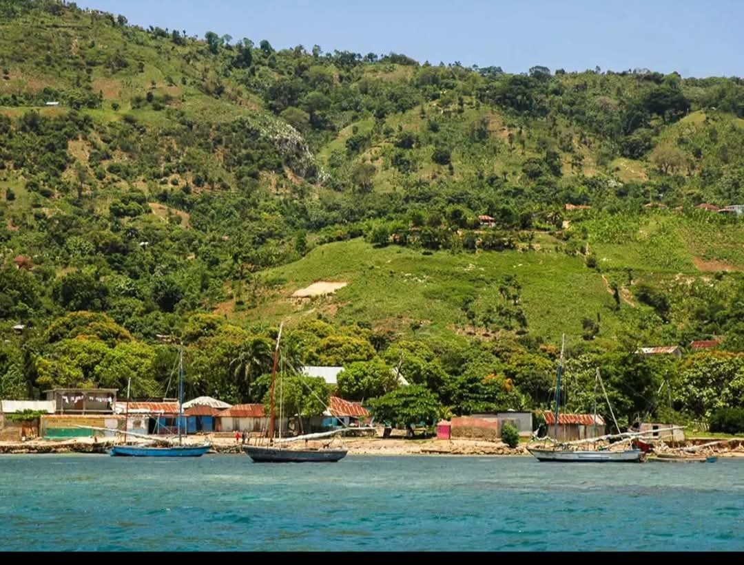  Complete Discography of Robert Dieudelin: A Musical Legacy in Haitian Music 